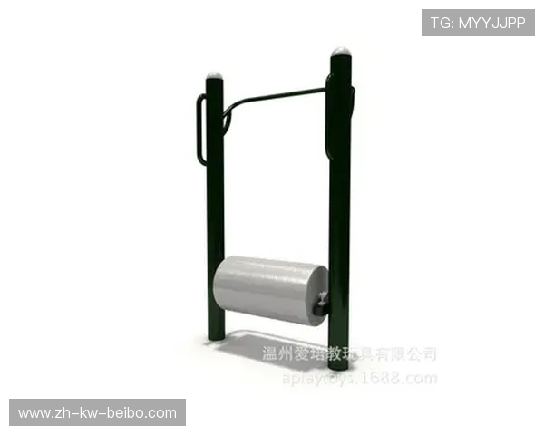 预算友好型减脂健身器材效果对比实验 预算友好型减脂健身器材效果对比实验